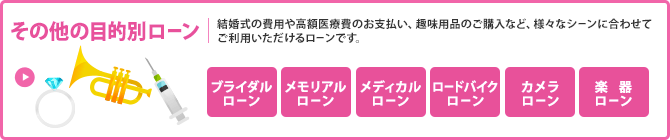 その他の目的別ローン／結婚式の費用や高額医療費のお支払い、趣味用品のご購入など、様々なシーンに合わせてご利用いただけるローンです。