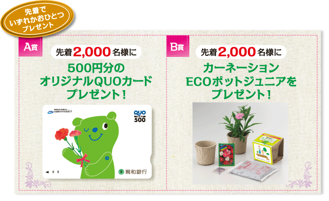 先着でいずれかおひとつプレゼント！ 【A賞】先着2,000名様に500円分のオリジナルQUOカードプレゼント！【B賞】先着2,000名様にカーネーションECOポットジュニアをプレゼント！