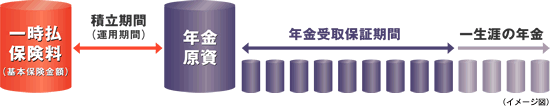 終身タイプの年金保険に加入した場合　（保証期間付終身年金の場合）