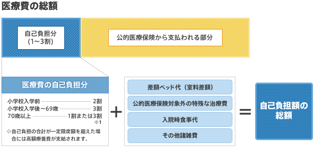 医療費の総額