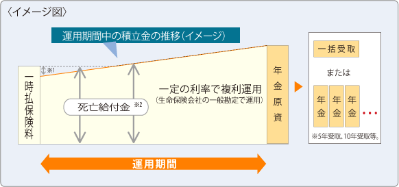 【イメージ図】定額個人年金保険