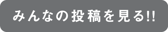 みんなの投稿を見る！！