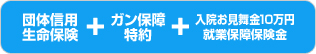 団体信用生命保険 + ガン保険特約 + 入院お見舞金10万円就業保障保険金