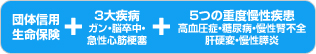 団体信用生命保険 + 3大病院ガン・脳卒中・急性心筋梗塞 + 5つの重度慢性疾患高血圧症・糖尿病・慢性腎不全肝硬変・慢性膵炎