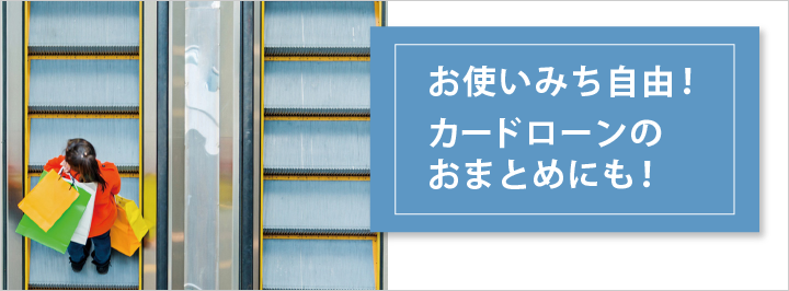 お使いみち自由！カードローンのおまとめにも！