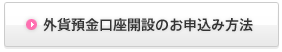 外貨預金口座開設のお申込み方法