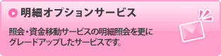 明細オプションサービス／照会・資金移動サービスの明細照会を更にグレードアップしたサービスです。