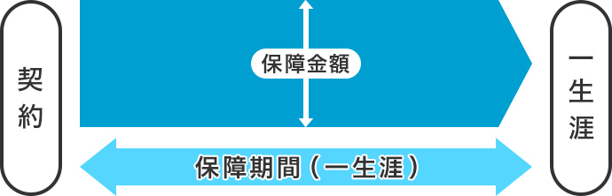 図:終身タイプの医療保険のイメージ図/契約から保障期間が一生涯続きます。
