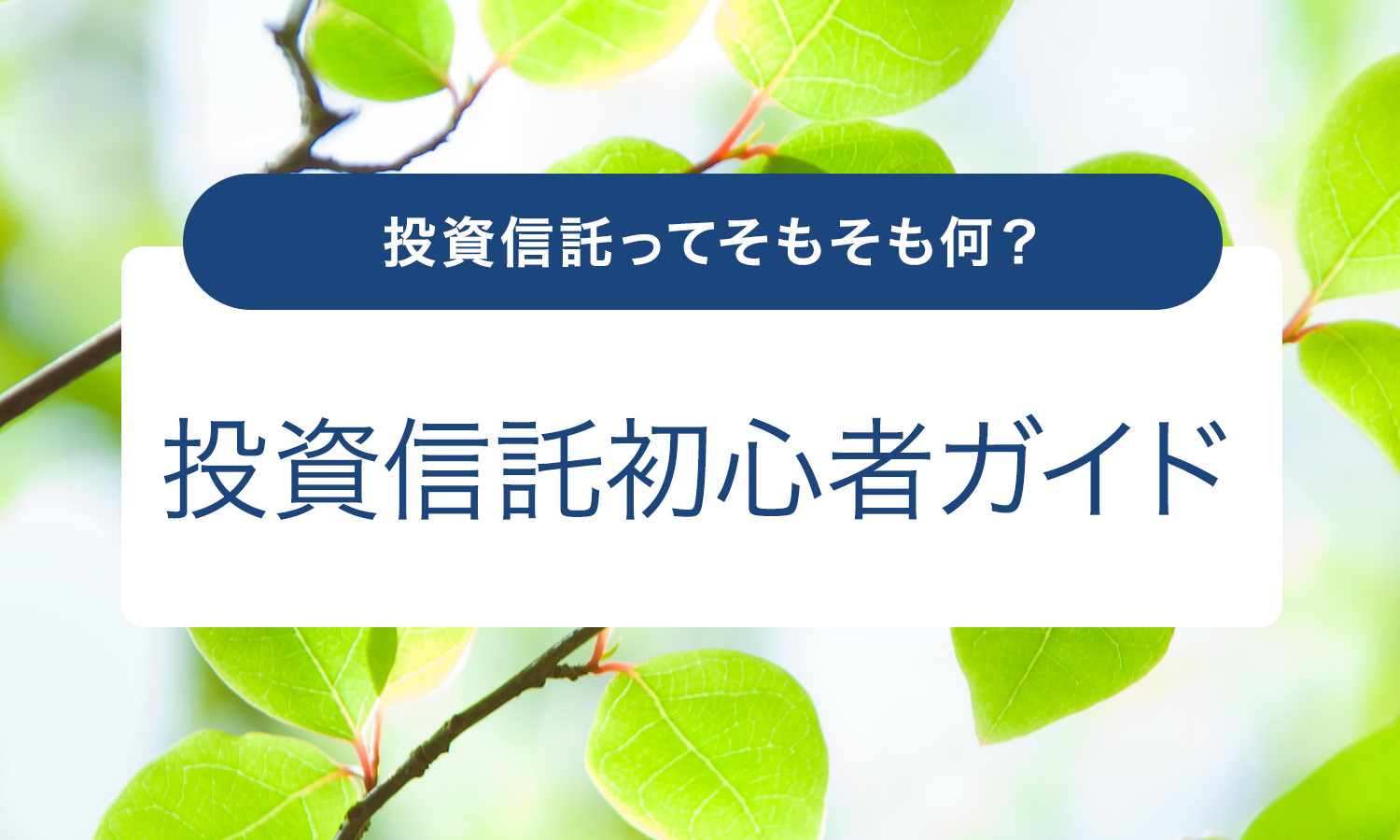 投資信託初心者ガイド | 十八親和銀行