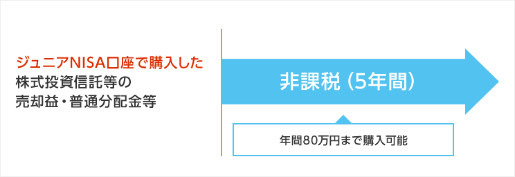 図：ジュニアNISA口座で購入した株式投資信託等の売却益・普通分配金等 非課税（5年間）年間80万円まで購入可能