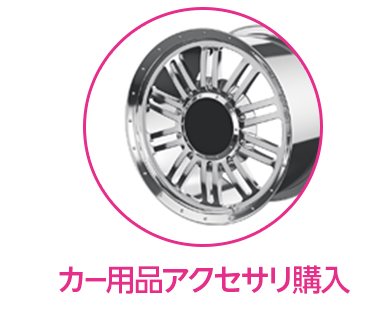 カー用品アクセサリ購入