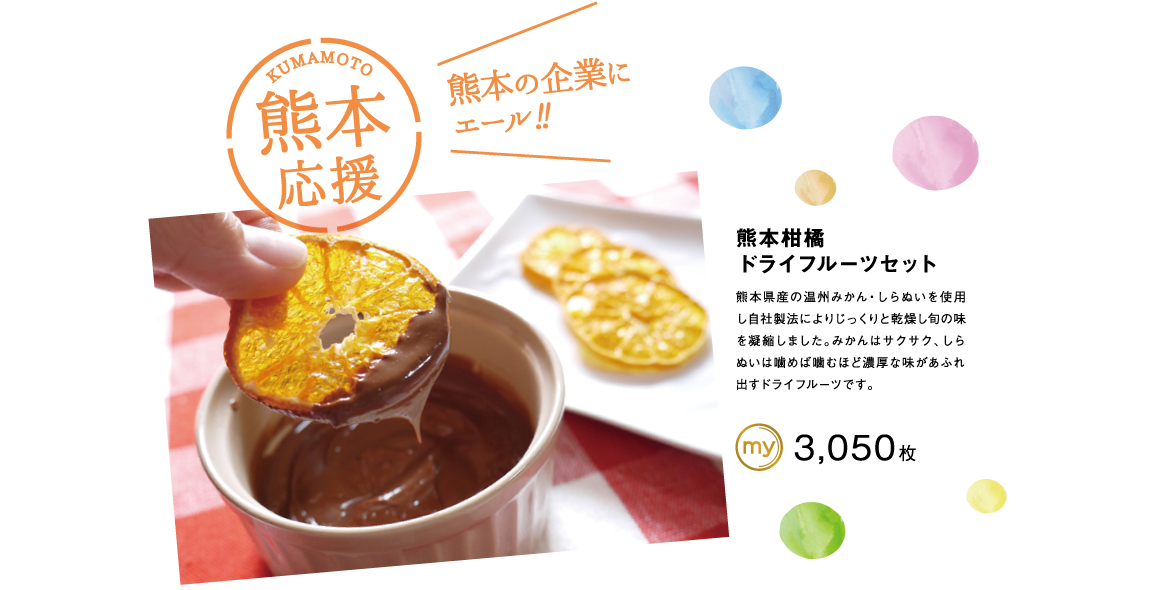 熊本柑橘ドライフルーツセット