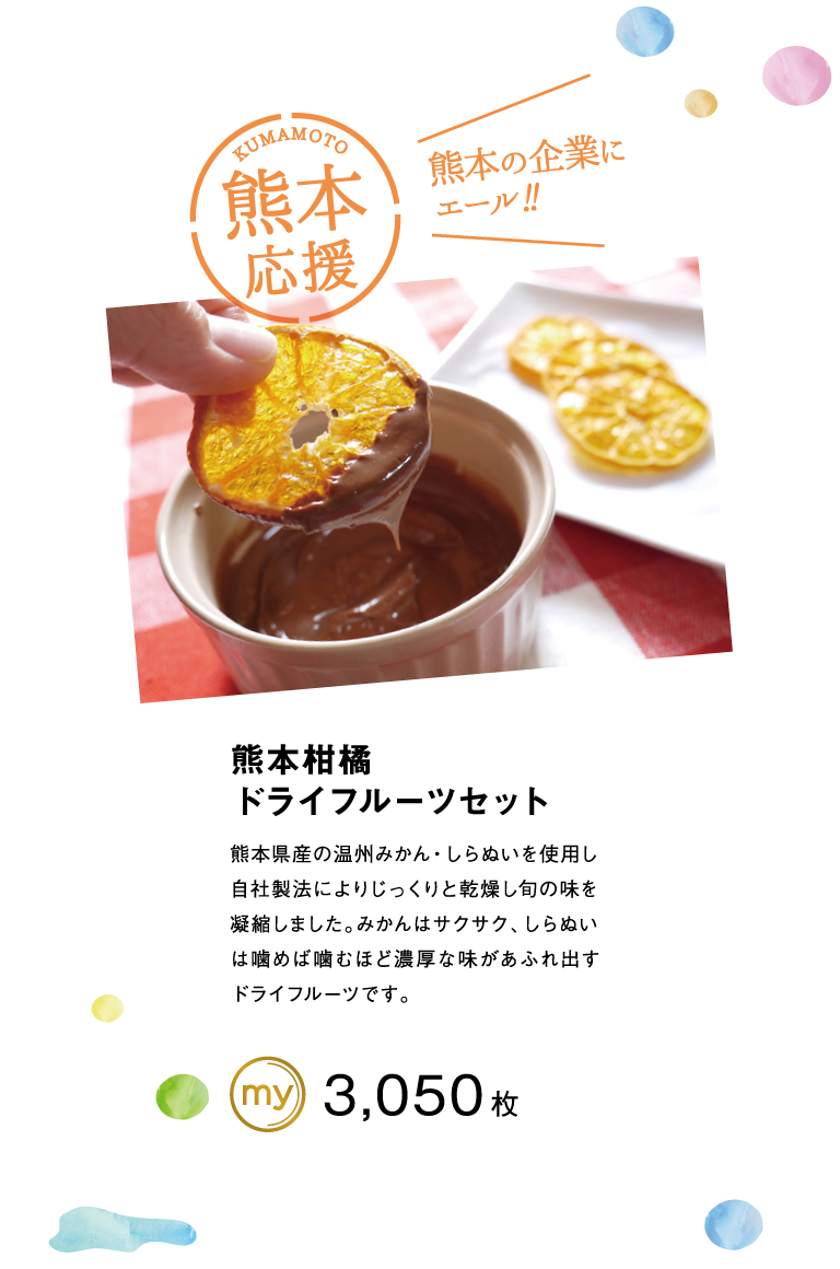 熊本柑橘ドライフルーツセット