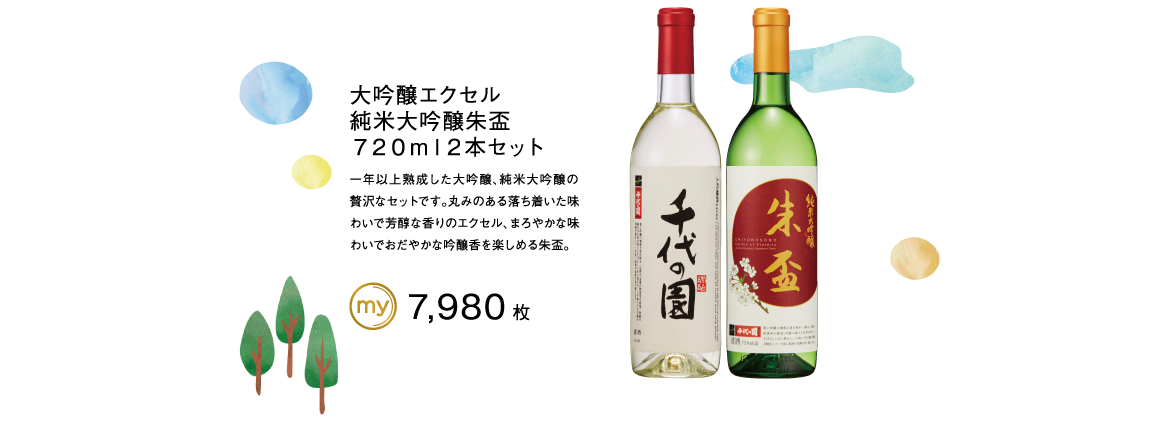 大吟醸エクセル純米大吟醸朱盃７２０ｍｌ２本セット