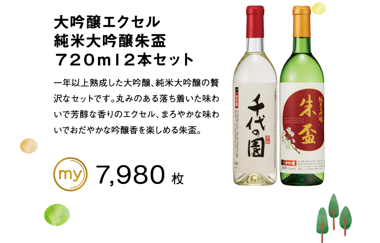 大吟醸エクセル純米大吟醸朱盃７２０ｍｌ２本セット